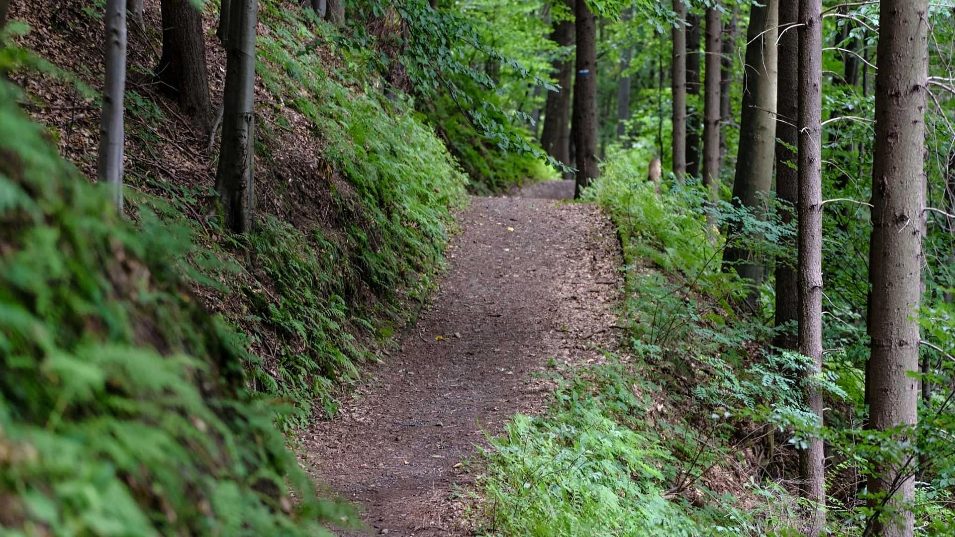 Leia mais sobre o artigo Cartaz cultural da U.F. Ôlo e Canadelo